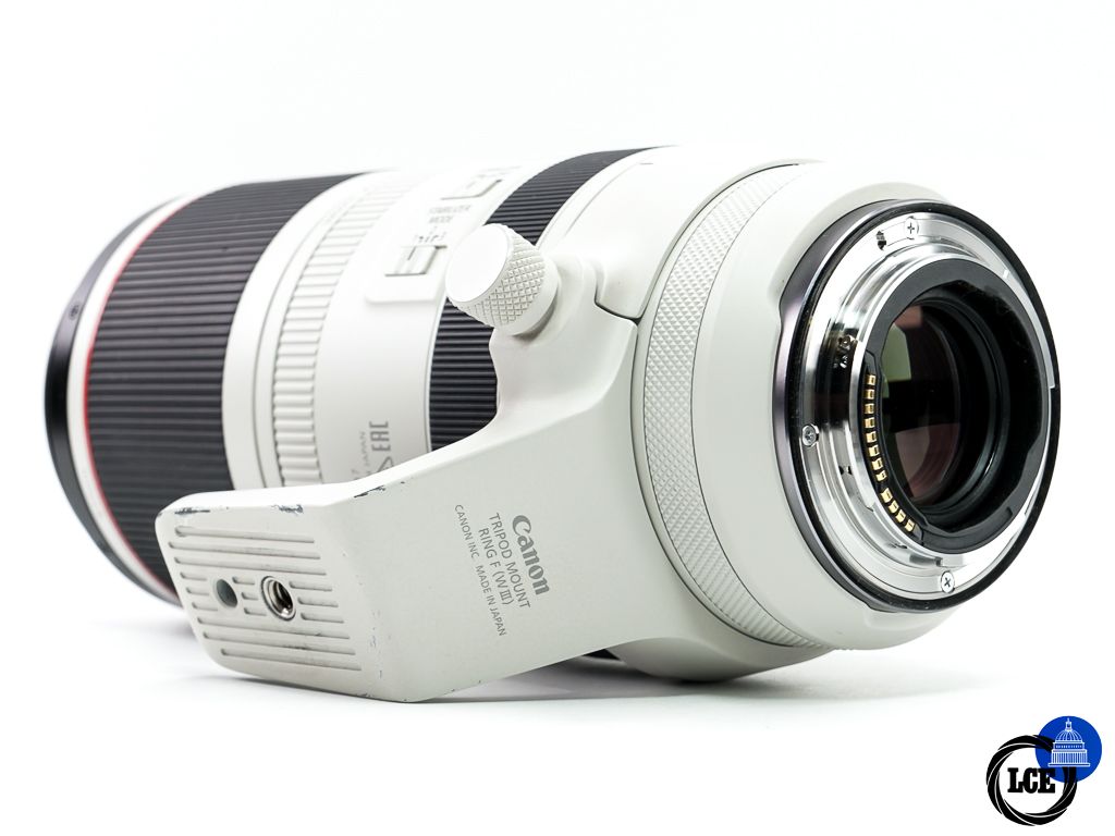 Canon RF 100-500mm f4.5-7.1 L IS USM