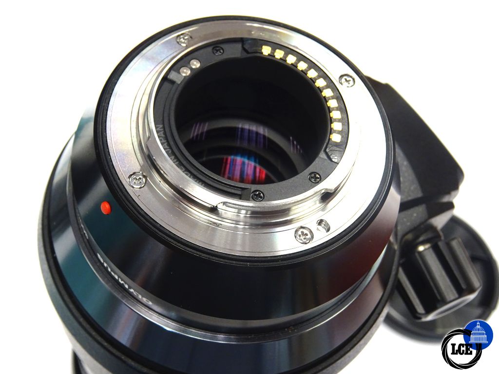 Olympus 300mm f4 IS Pro