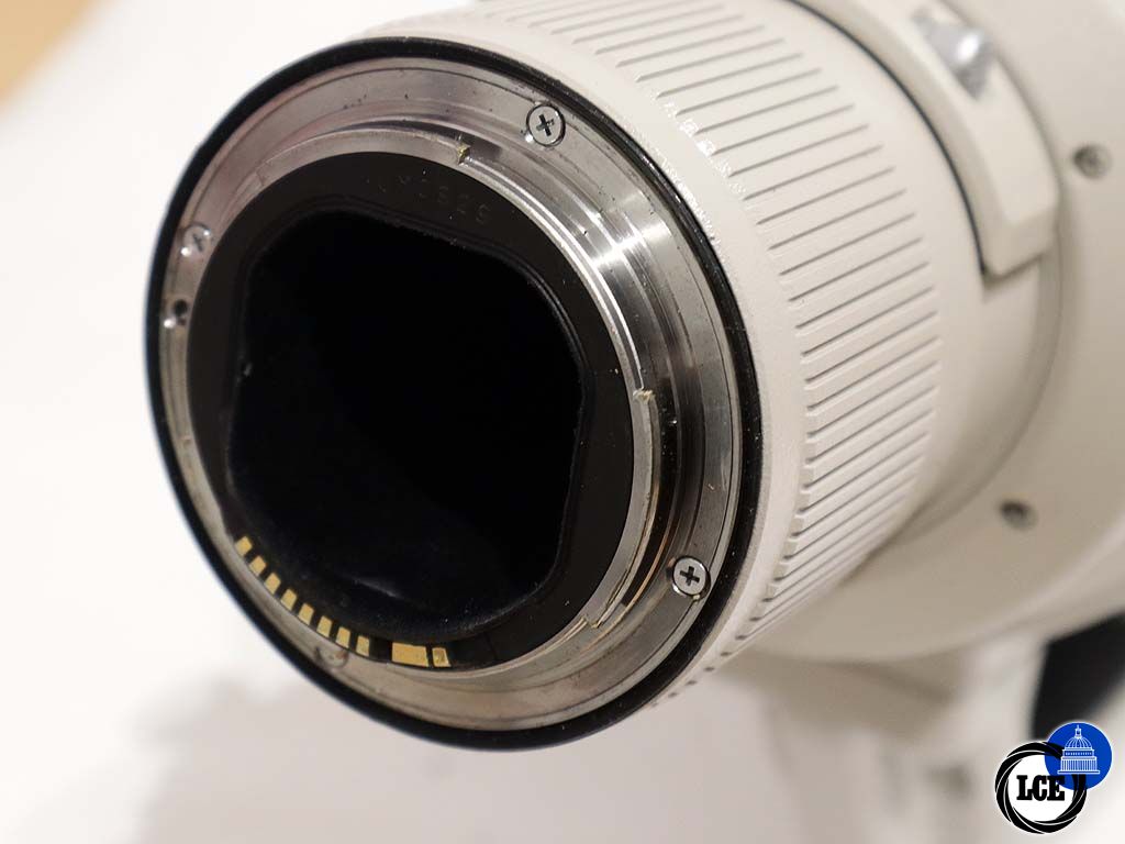 Canon EF 600mm F4 L IS USM
