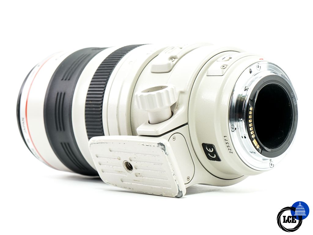 Canon EF 100-400mm f4.5-5.6 L IS USM