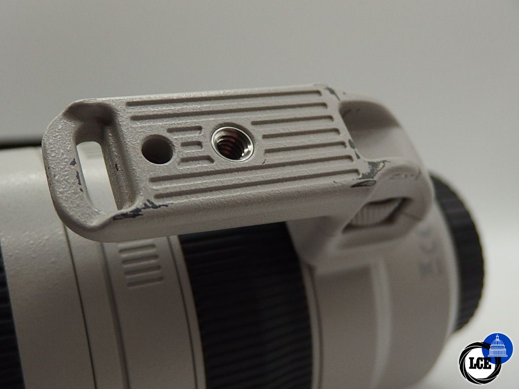 Canon EF 100-400mm L IS MKII