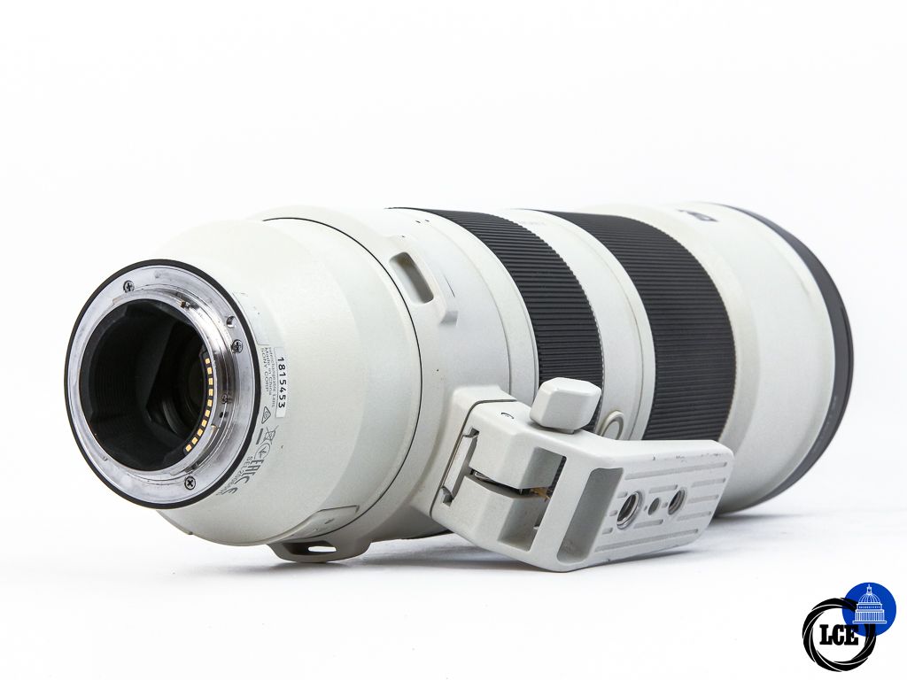 Sony FE 200-600mm f5.6-6.3 G OSS