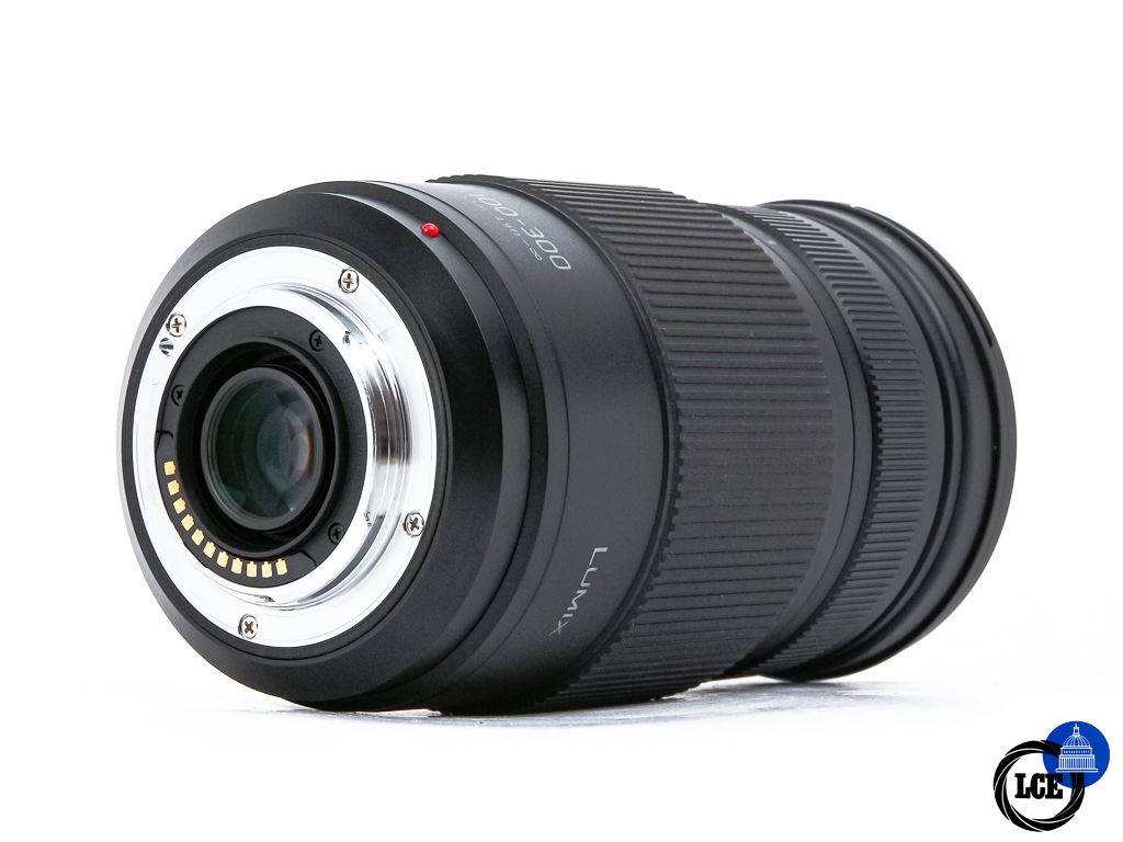 Panasonic G 100-300mm f4-5.6 Power OIS