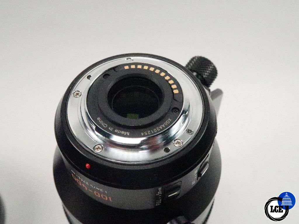 Panasonic MFT 100-400mm f4-6.3 Vario-Elmar