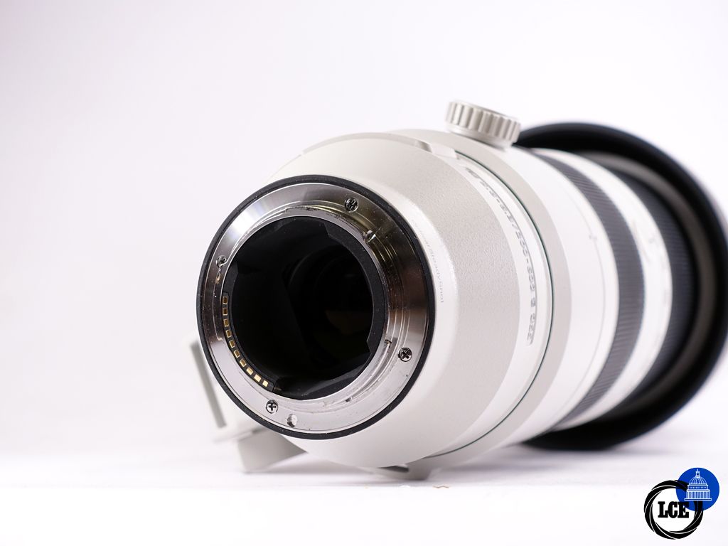 Sony 200-600mm G OSS