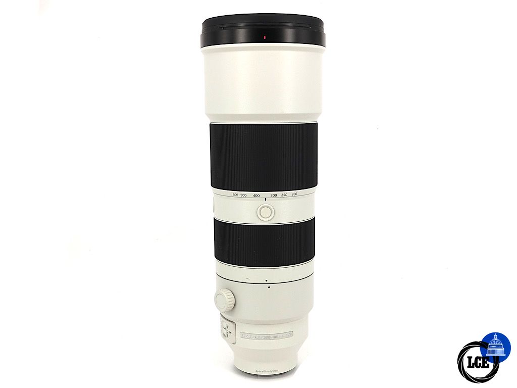 Sony FE 200-600mm G OSS | 4*