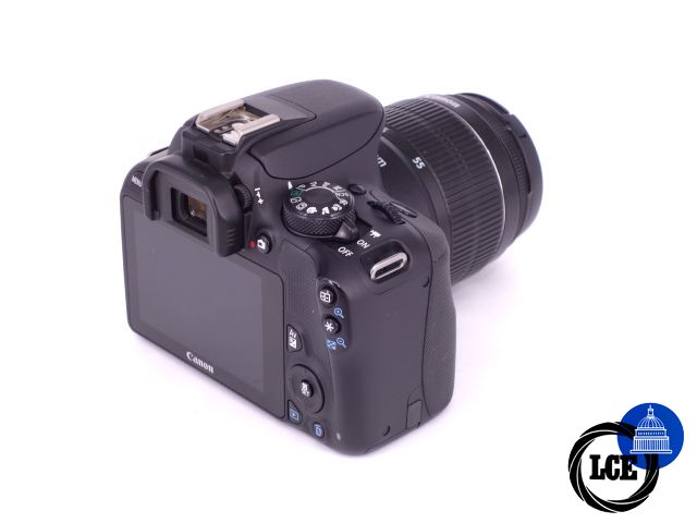 Canon EOS 100D + EF-S 18-55mm f/3.5-5.6 III