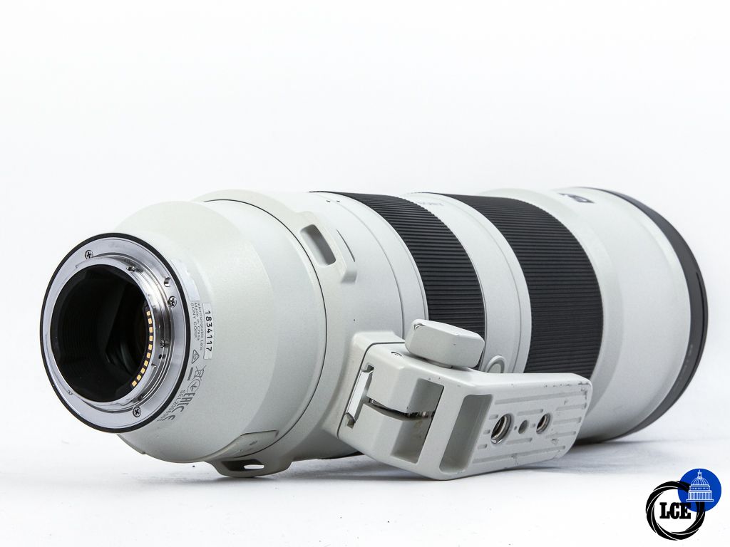 Sony FE 200-600mm f5.6-6.3 G OSS