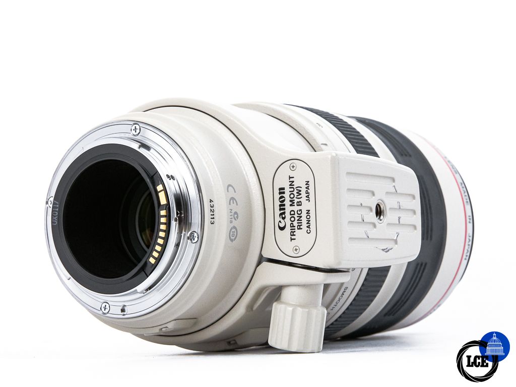 Canon EF 100-400mm f4.5-5.6 L IS USM 
