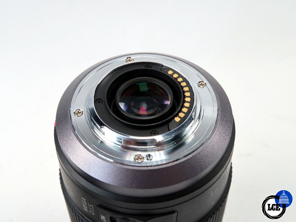 Panasonic MFT 100-300mm F4-5.6 Mega O.I.S.