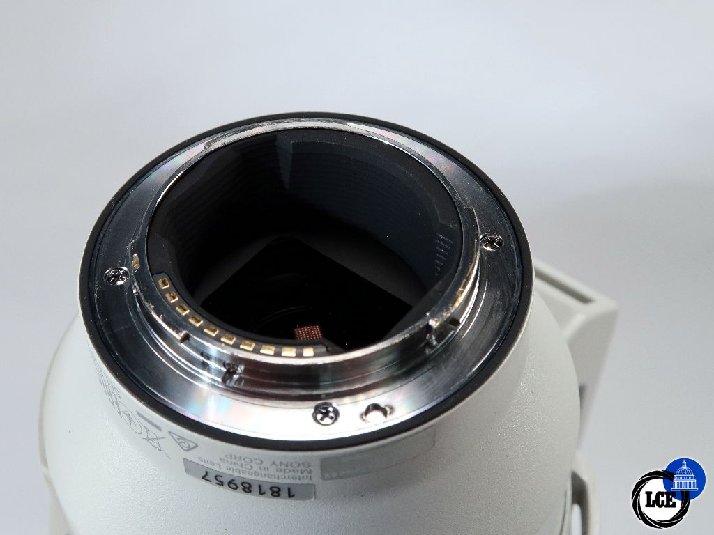 Sony FE 200-600mm F5.6-6.3 OSS
