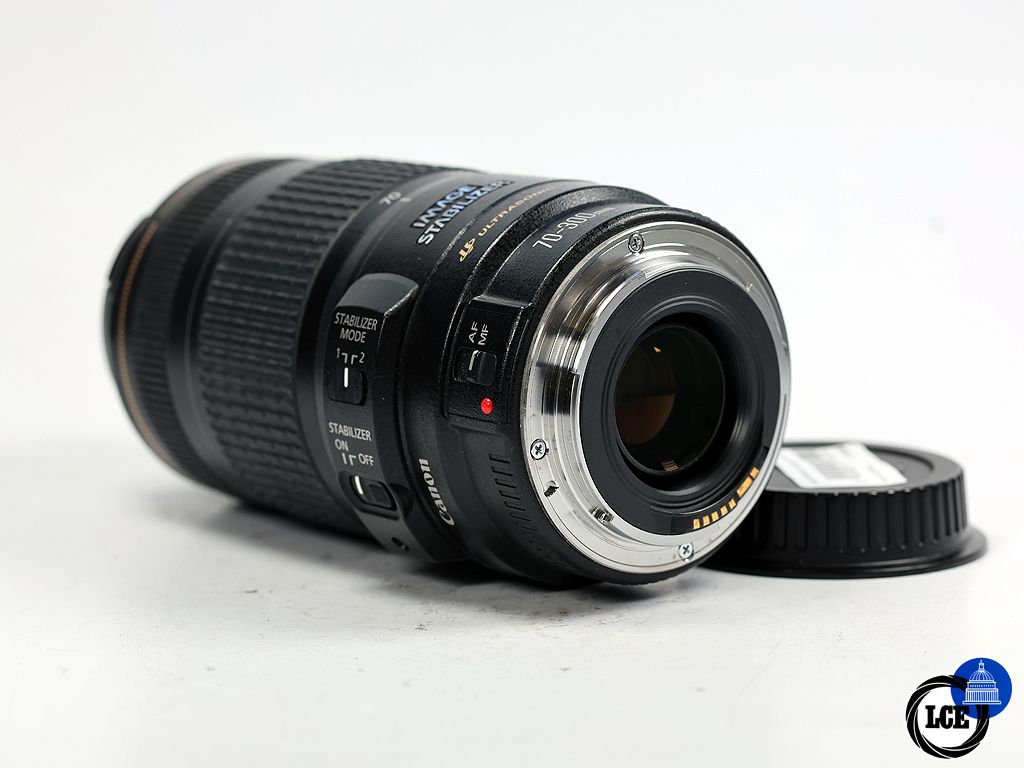 Canon EF 70-300mm f/4-5.6 IS USM