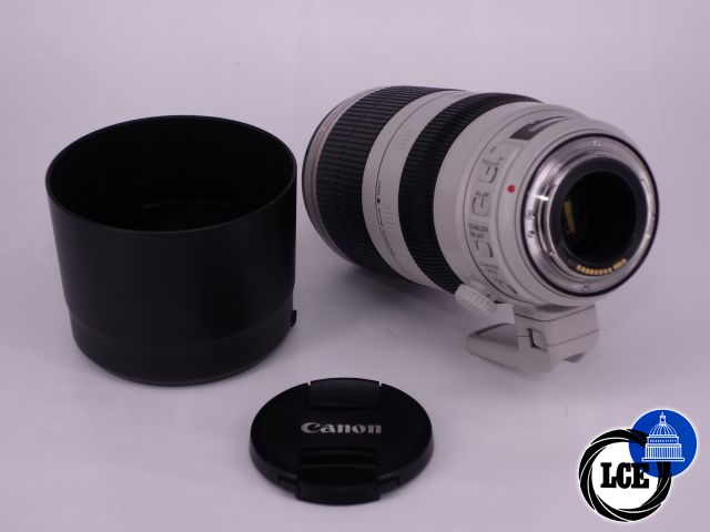 Canon EF 100-400mm F4.5-5.6 L IS II USM