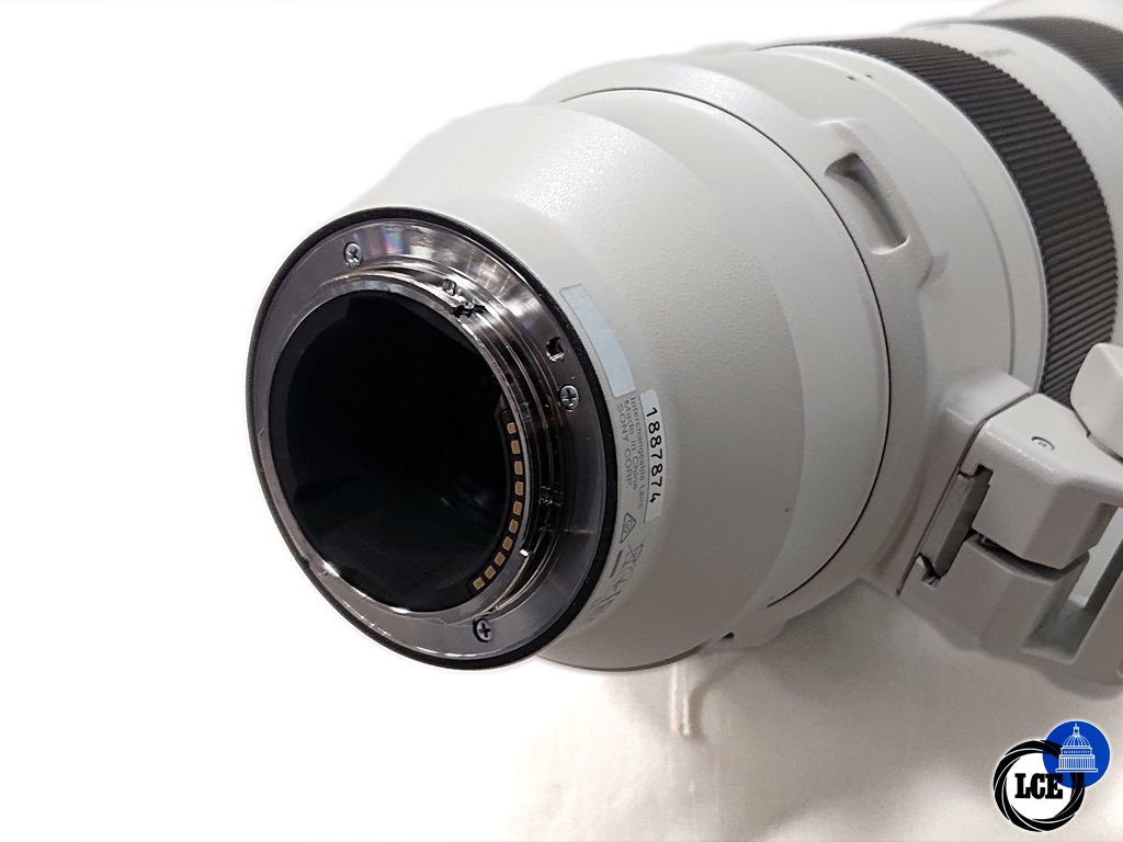 Sony FE 200-600mm f5.6-6.3 G OSS Lens
