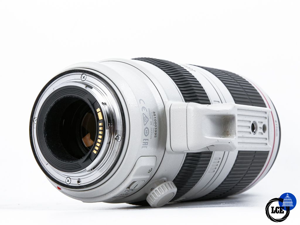 Canon EF 100-400mm f4.5-5.6 L IS II USM