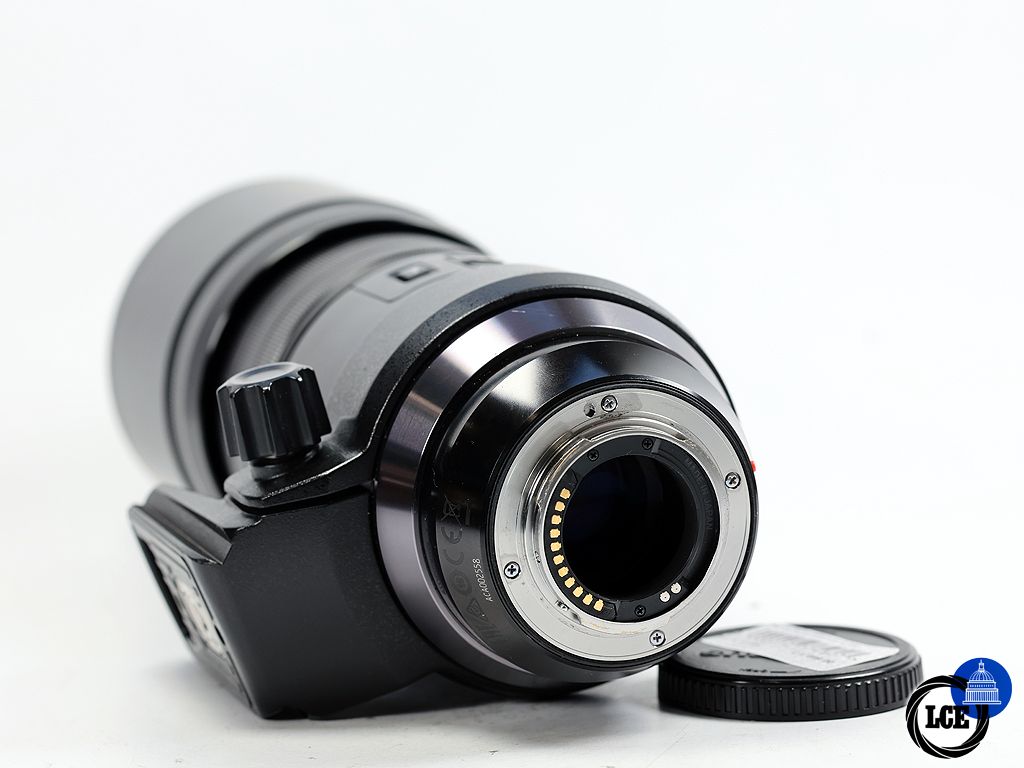 Olympus 300mm f/4 IS PRO