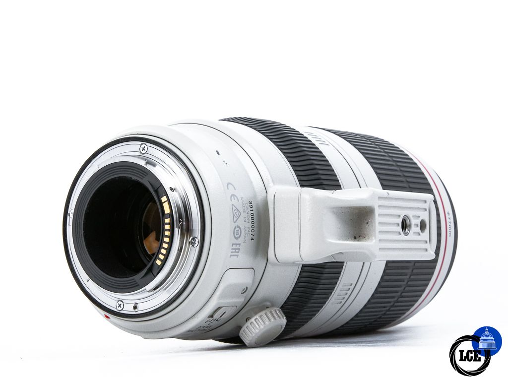 Canon EF 100-400mm f4.5-5.6 L IS II USM