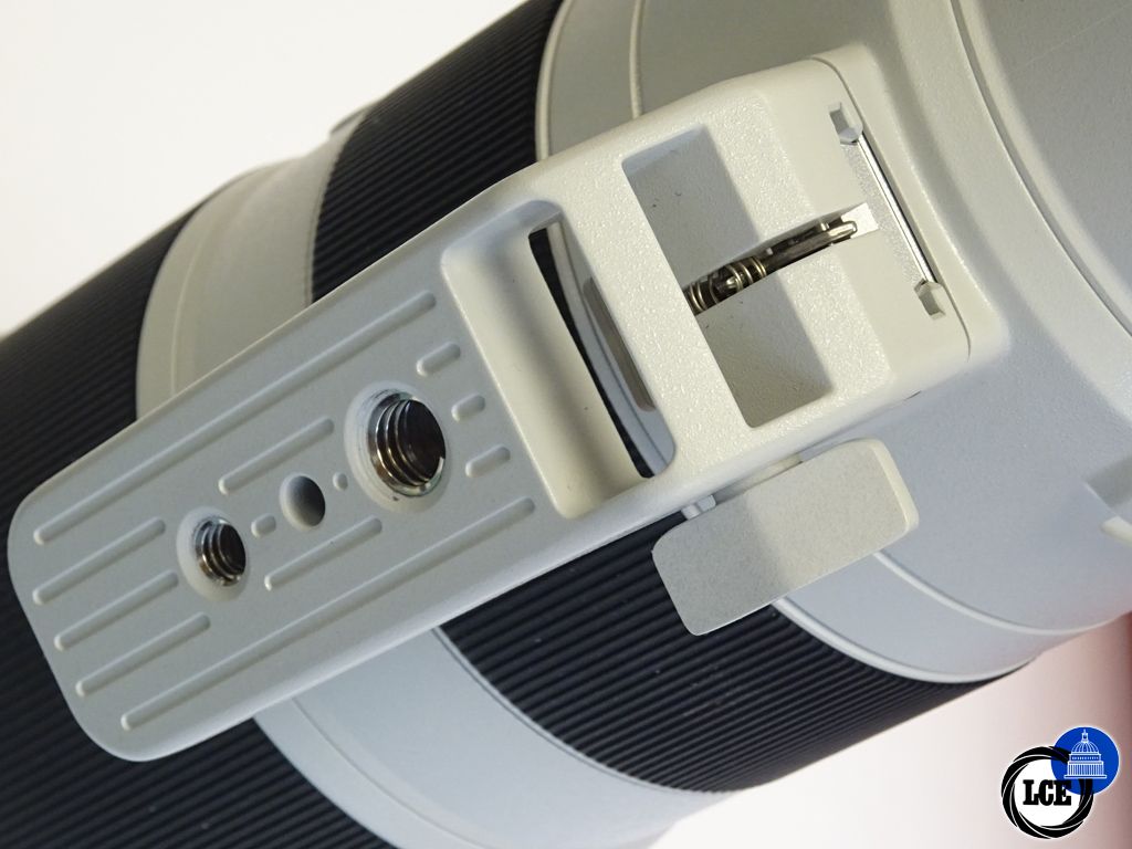Sony 200-600mm G