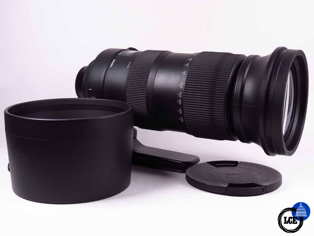 Sigma 60-600mm f4.-6.3 Sports Nikon AFD