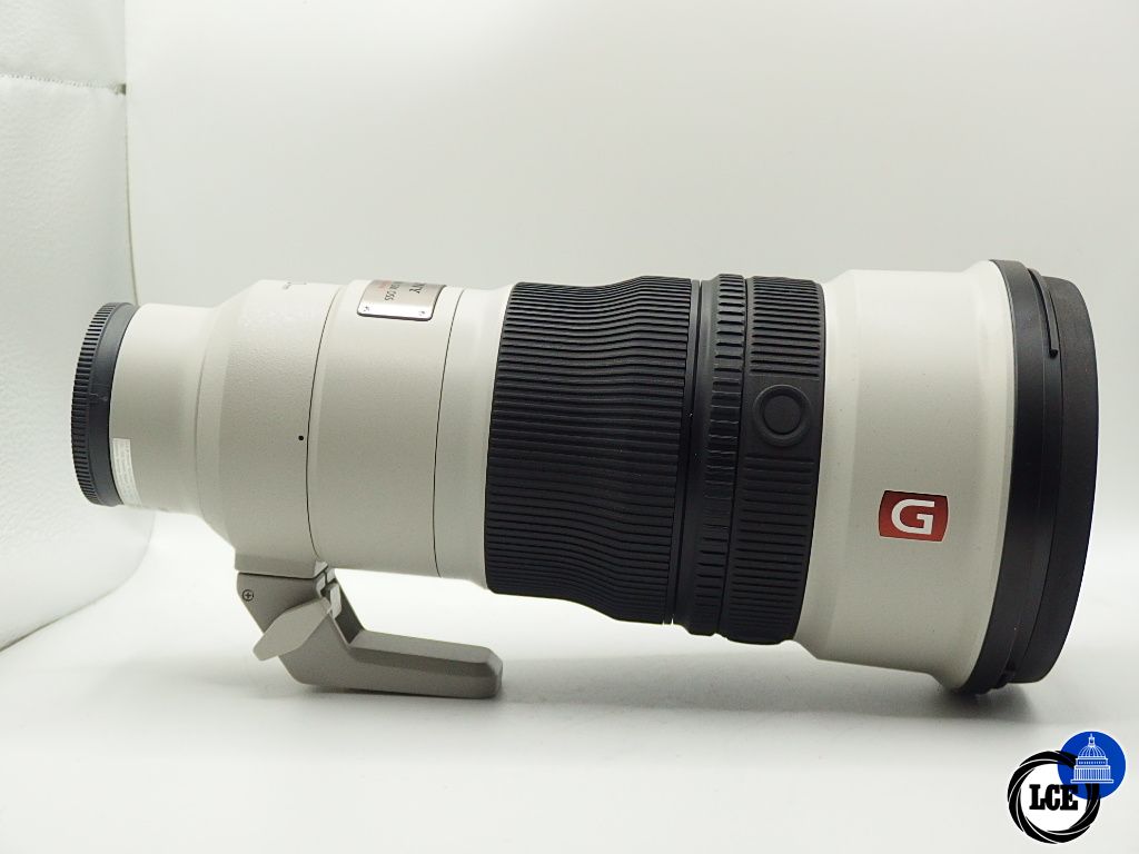 Sony FE F2.8 300mm GM OSS