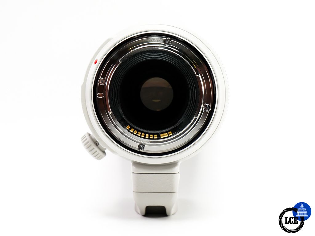 Canon EF 100-400mm F4.5-5.6 L IS USM MK II