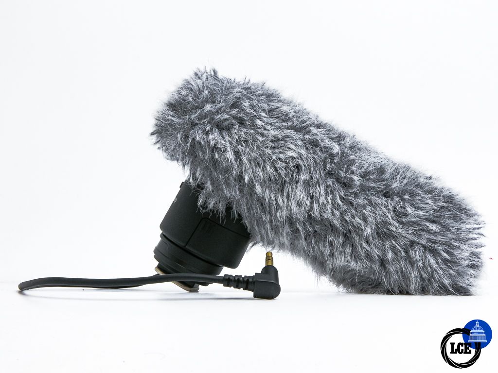 Canon DM-E1