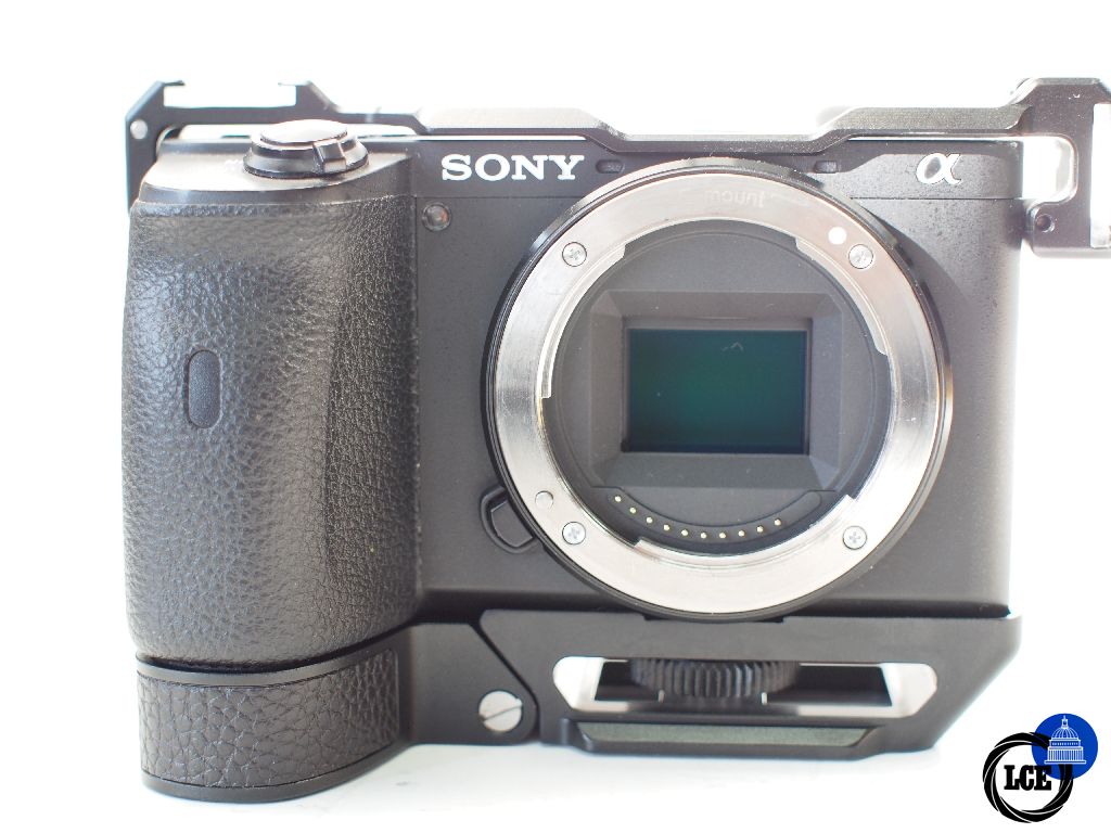 Sony A6600 with WEPOTO grip
