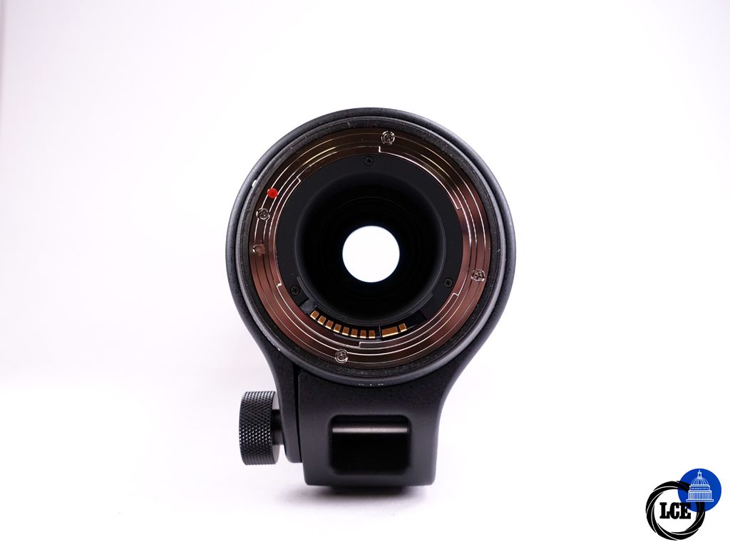 Sigma 150-600mm  F5-6.3 DG