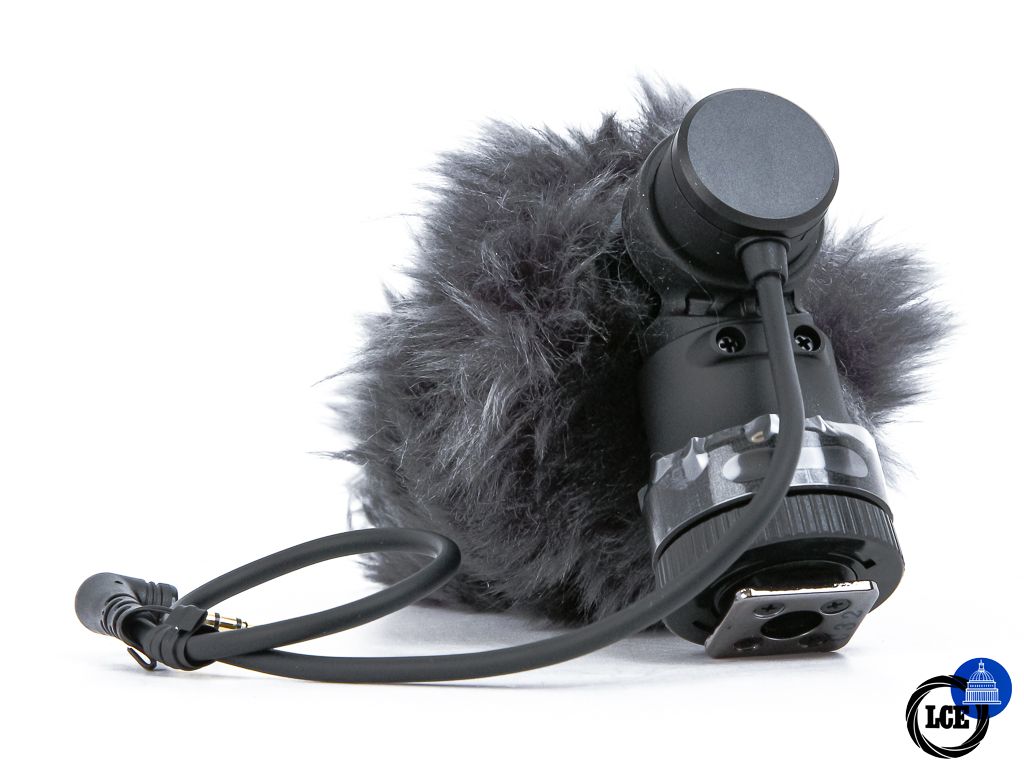 Canon DM-E100