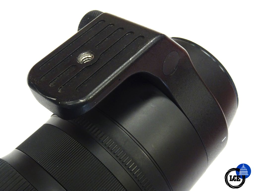 Sigma Sigms 150-600mm Canon Fit