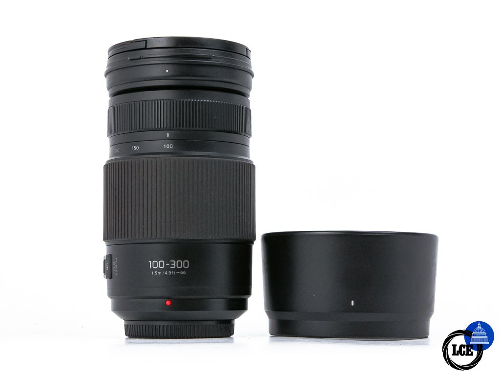 Panasonic G 100-300mm f4-5.6 Power OIS