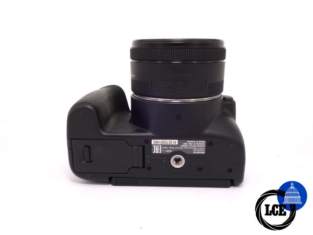 Canon EOS 250D+50mm F1.8 STM