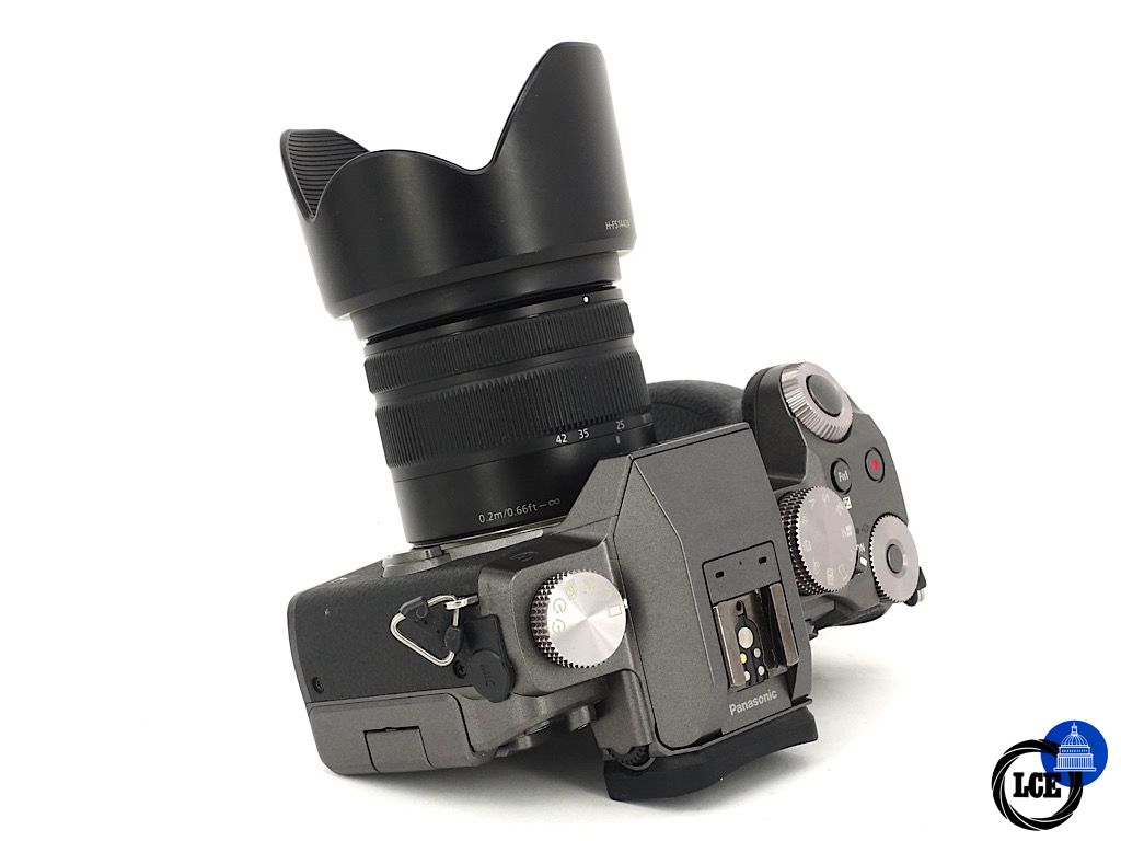 Panasonic Lumix G7 + 14-42mm F3.5-5.6 Mega OIS | 4*