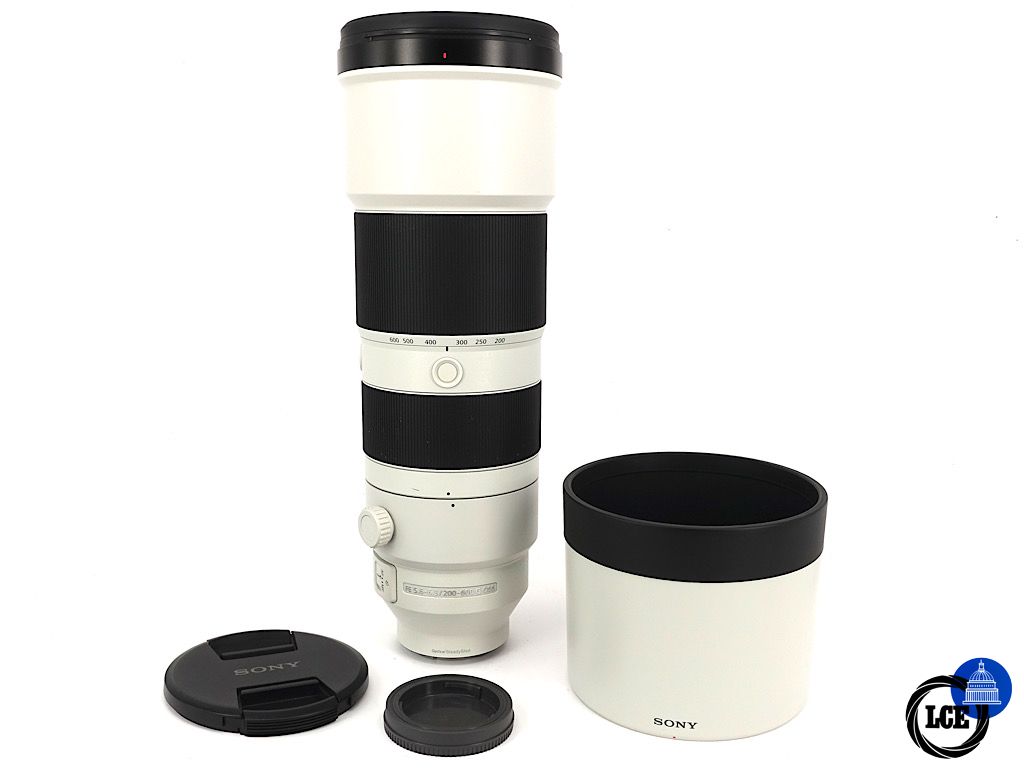 Sony FE 200-600mm G OSS | 4*