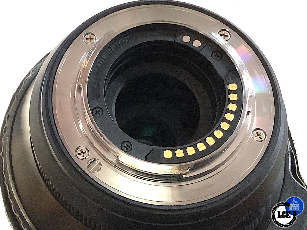 Olympus 100-400mm f5-6.3 + camouflaged cover