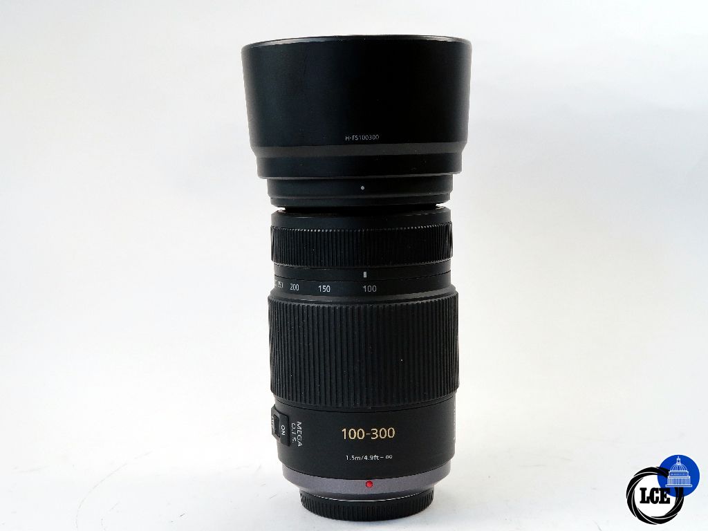 Panasonic MFT 100-300mm F4-5.6 Mega O.I.S.