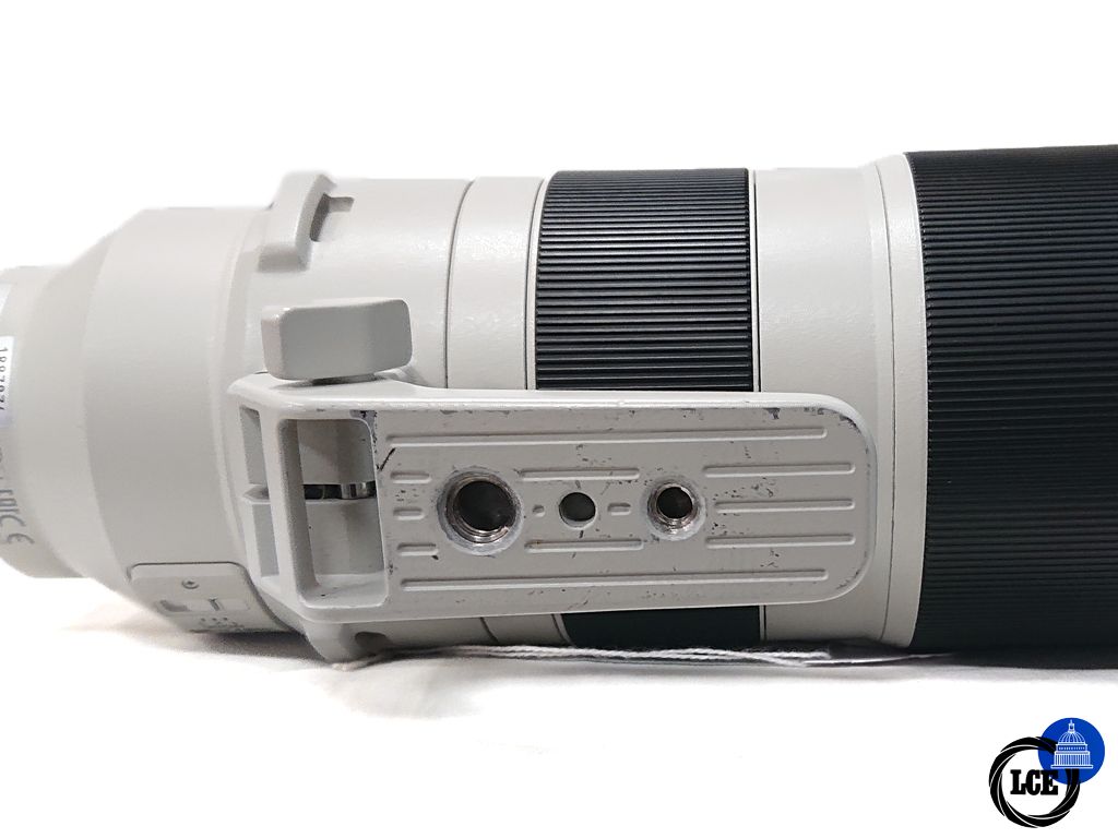 Sony FE 200-600mm f5.6-6.3 G OSS Lens