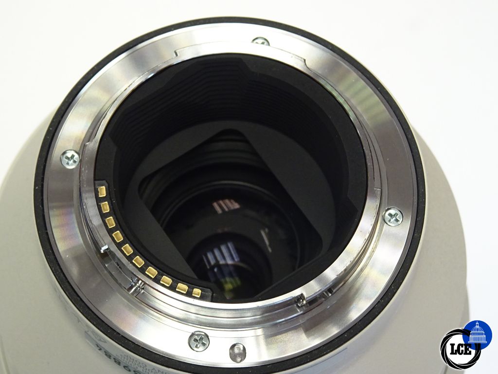 Sony 200-600mm G