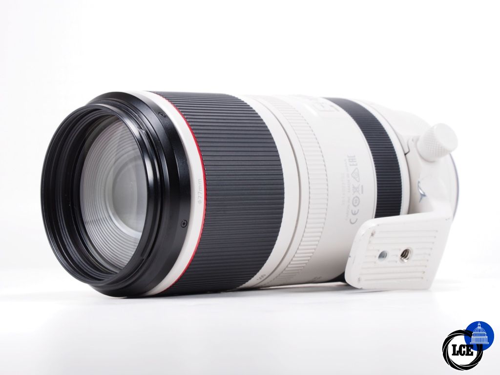 Canon RF 100-500mm F4.5-7.1 L IS USM