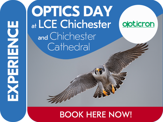 Chichester Peregrine Falcons with Opticron